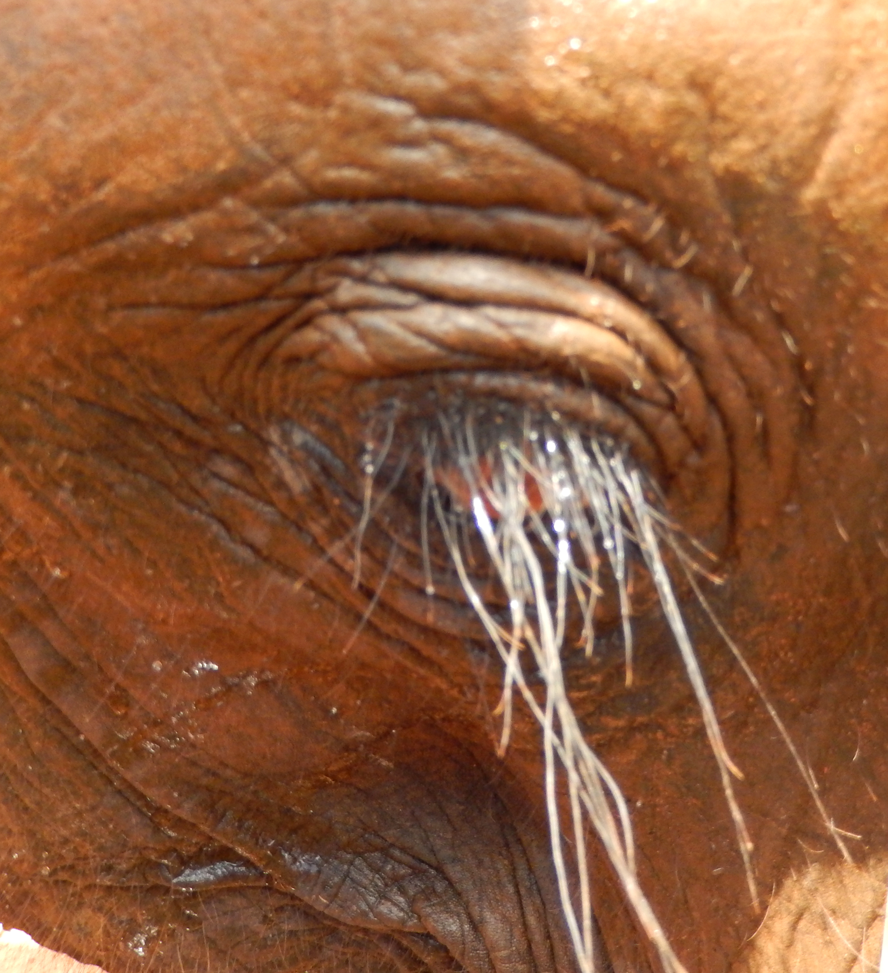 New home – Bangkok!